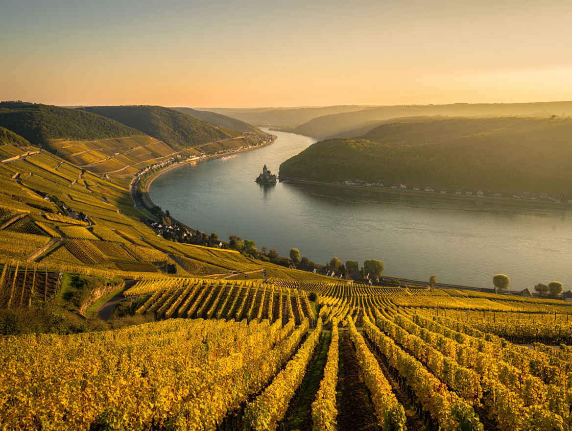 Das Rheintal mit Weinbergen und mittelalterlichen Burgen im goldenen Abendlicht
